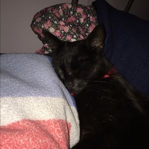 Meet your Posher, Mackenzie